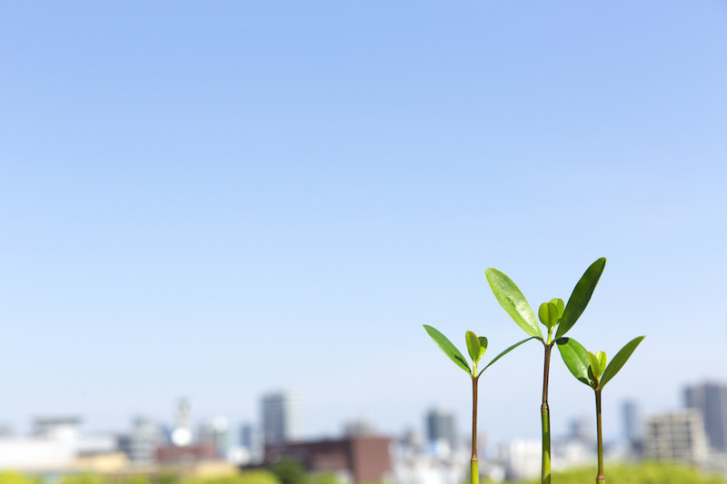 リーフソリューション株式会社